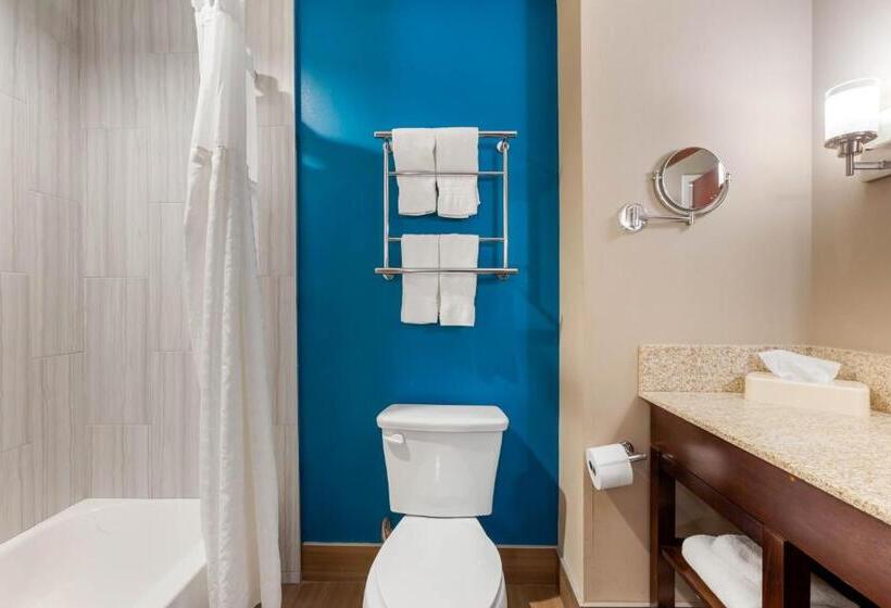 Люкс Кровать Кинг, Comfort Suites Of Las Cruces I 25 North