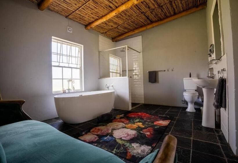 Номер Deluxe, Saronsberg Vineyard Cottages