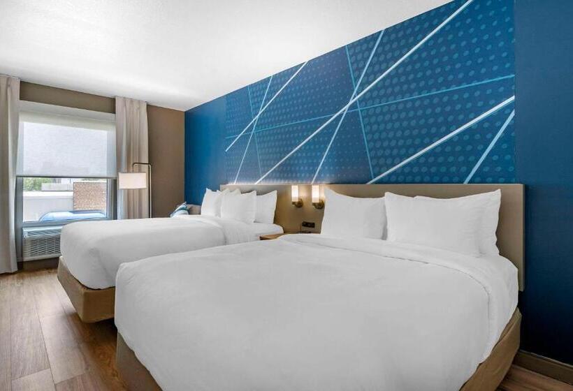 Номер Стандарт, Comfort Inn & Suites New Port Richey Downtown District