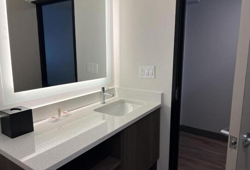 Номер Стандарт, Comfort Inn & Suites New Port Richey Downtown District