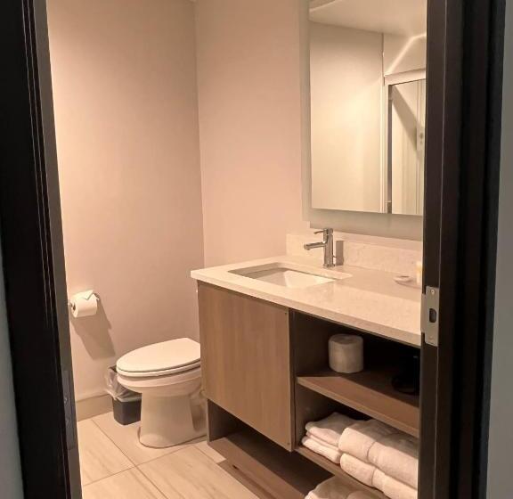 Стандартный Номер Кровать Кинг, Comfort Inn & Suites New Port Richey Downtown District