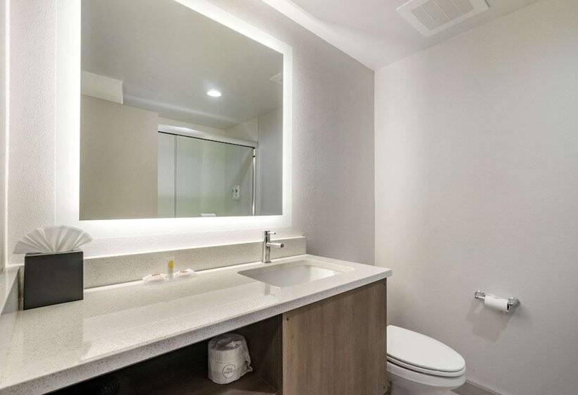 Люкс Адаптированный для Инвалидов, Comfort Inn & Suites New Port Richey Downtown District