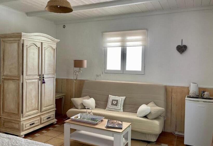 Номер Стандарт с Террасой, Domaine Au Coeur Des Alpilles