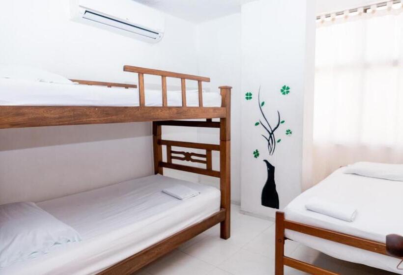 Apartamento 3 Dormitórios, Edificio Sandra
