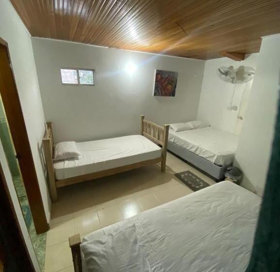 اتاق استاندارد چهار تخته, Aurelia Compartida Hospedaje