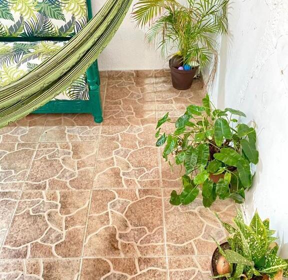 اتاق استاندارد چهار تخته, Aurelia Compartida Hospedaje