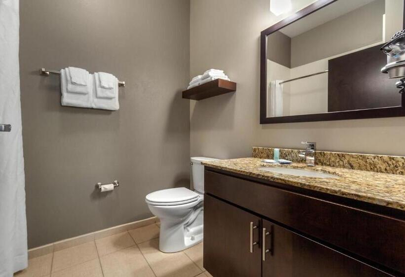 Люкс Кровать Кинг, Mainstay Suites Lincoln University Area
