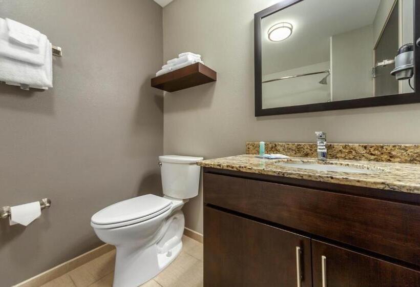 Люкс Кровать Кинг, Mainstay Suites Lincoln University Area
