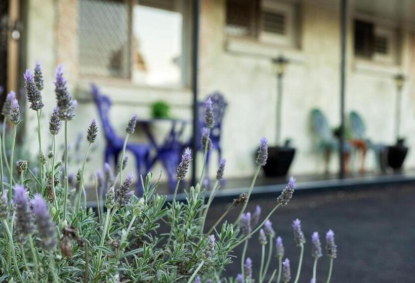 스탠다드 스튜디오, Toowoomba Hospital Apartments