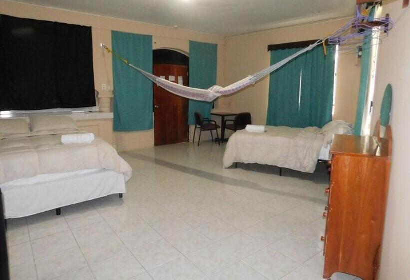 اتاق خانوادگی, Arnold S Guest House