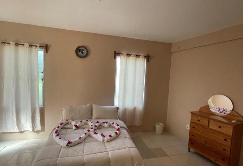 اتاق لوکس, Arnold S Guest House
