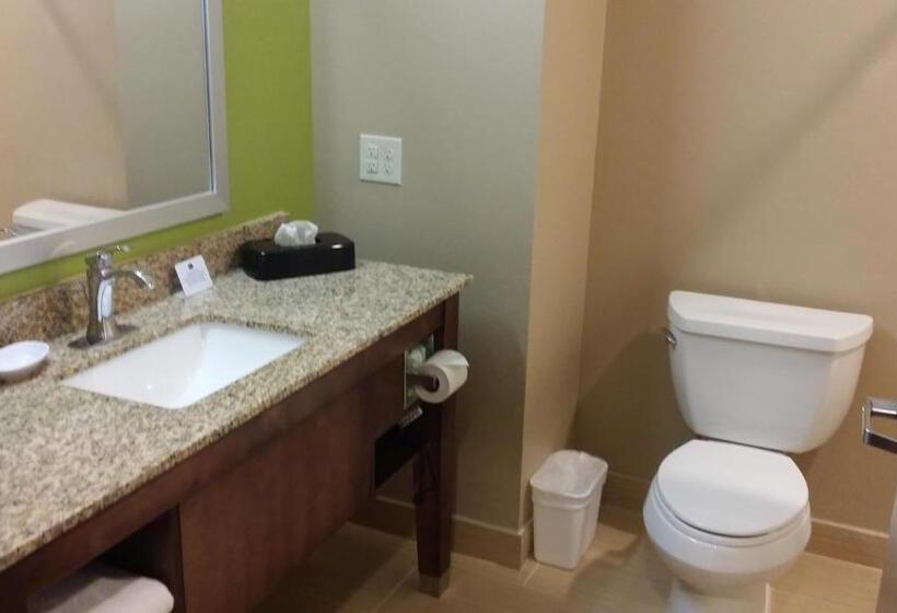 غرفة قياسية سرير كينج, Best Western Plus Flatonia Inn