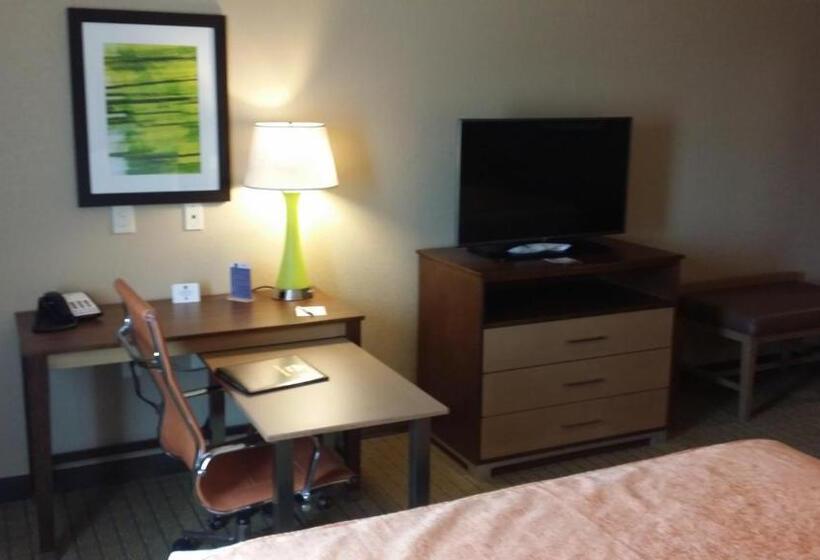 غرفة قياسية لذوى الاحتياجات الخاصة, Best Western Plus Flatonia Inn