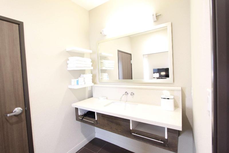 Estúdio standard Cama King, Hampton Inn & Suites Dallas Market Center