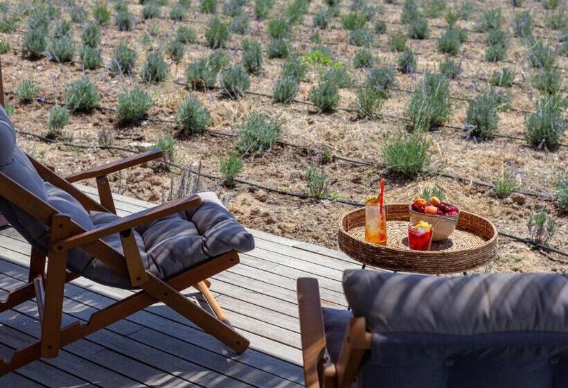디럭스 룸, Zaya çeşme Hotel & Beach