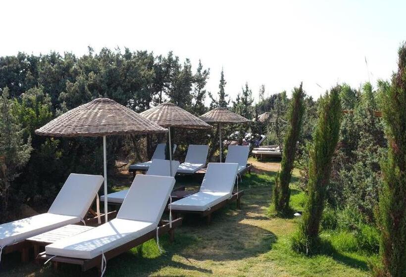 빌라 침실 1개, Zaya çeşme Hotel & Beach