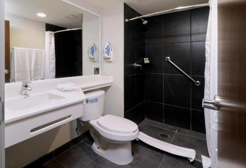 Номер Стандарт 2 Двуспальные Кровати, City Express Plus By Marriott Monterrey Galerías
