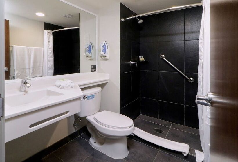 Номер Стандарт 2 Двуспальные Кровати, City Express Plus By Marriott Monterrey Galerías