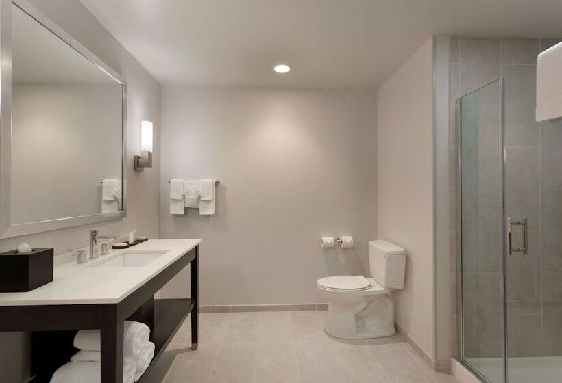 스위트, Embassy Suites By Hilton Kansas City Olathe
