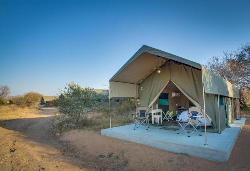 Deluxe Tent, Little Mongena Tented Camp