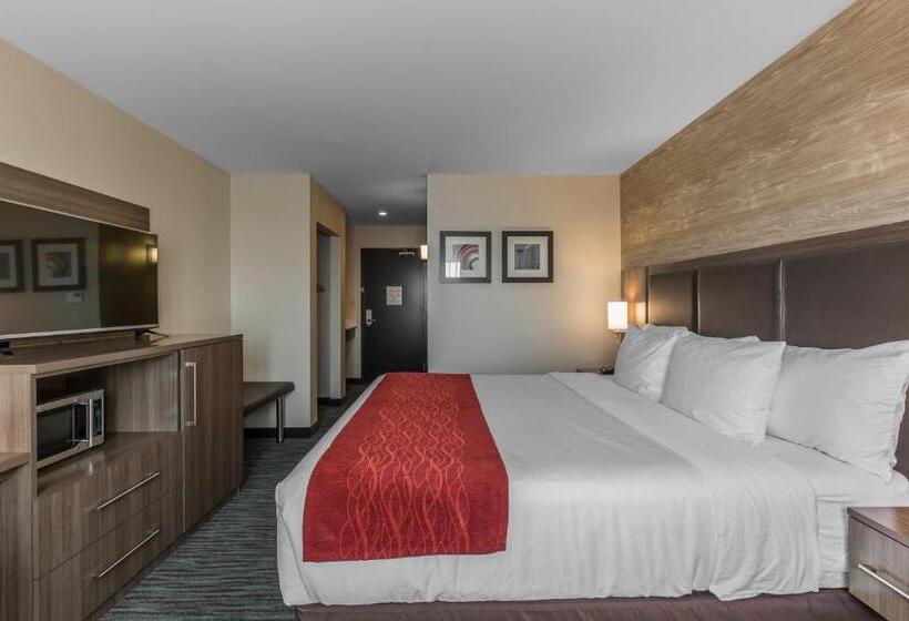 スタンダードルーム, Comfort Inn & Suites Airport North