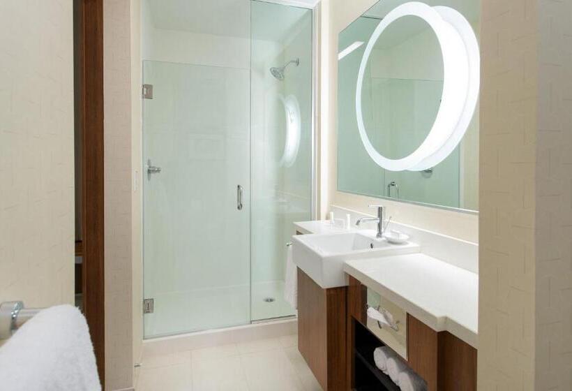 스탠다드 스튜디오 풀장 전망, Springhill Suites By Marriott Los Angeles Burbank/downtown