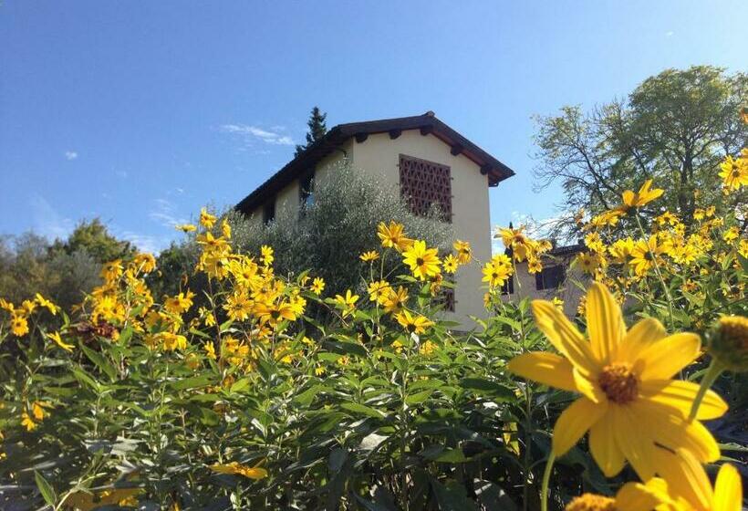 Номер Стандарт, Il Poggiolo Delle Rose Bed&breakfast