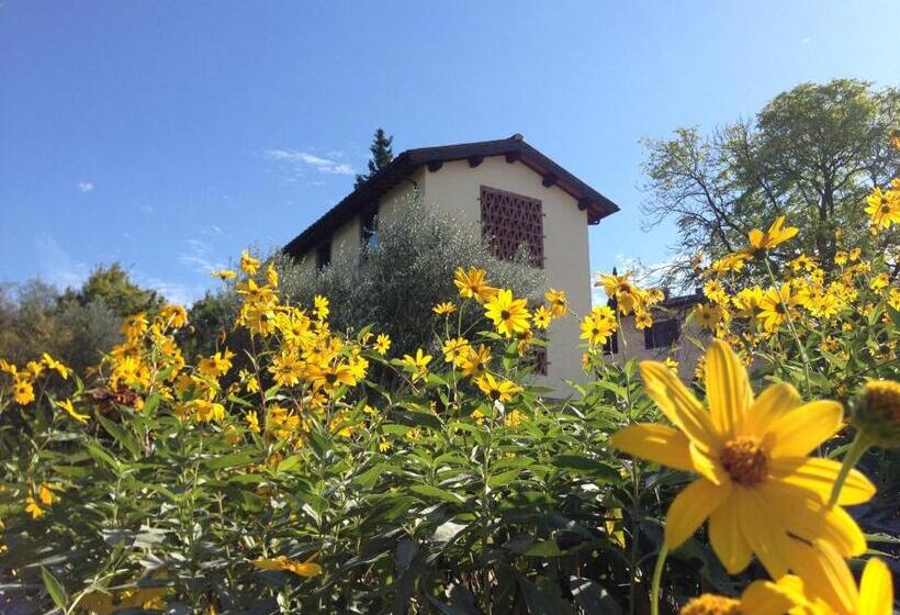 Апартаменты 1 Спальня, Il Poggiolo Delle Rose Bed&breakfast