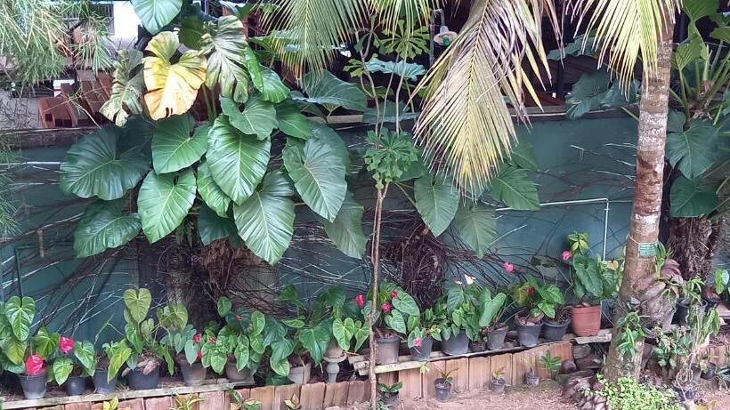 Номер Стандарт Вид на Сад, Nooit Gedacht Holiday Resort Unawatuna