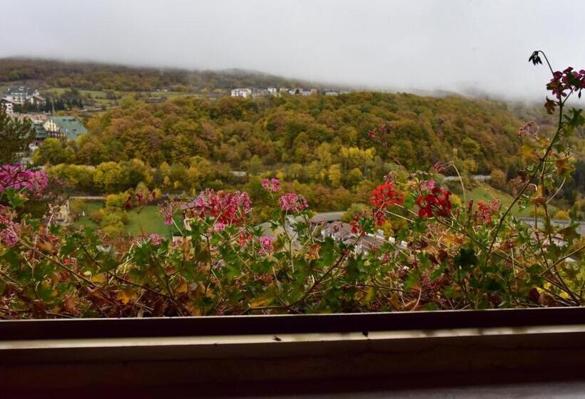 اتاق اکونومی, Belvedere