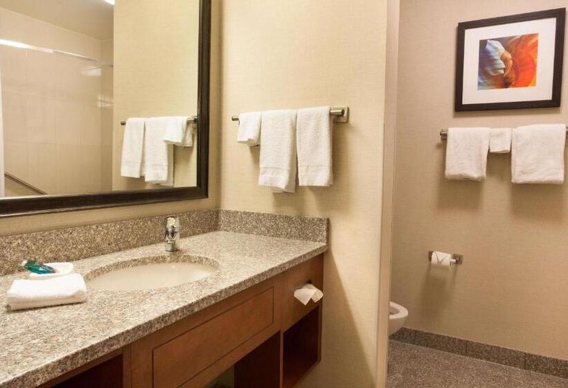 Номер Deluxe Кровать Кинг, Drury Plaza Hotel Phoenix Tempe