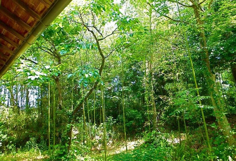 Семейный Номер Вид на Сад, Kominka Sharehouse Hooju
