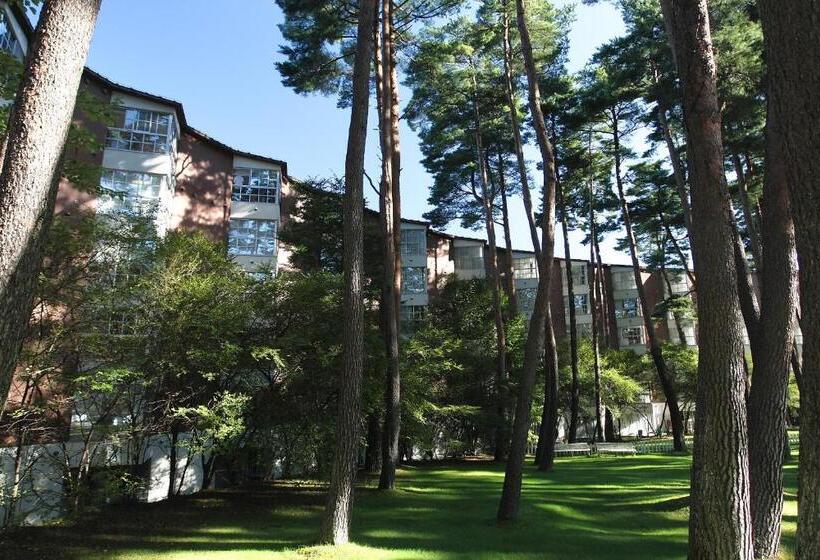 Семейный Номер, Fuji Premium Resort