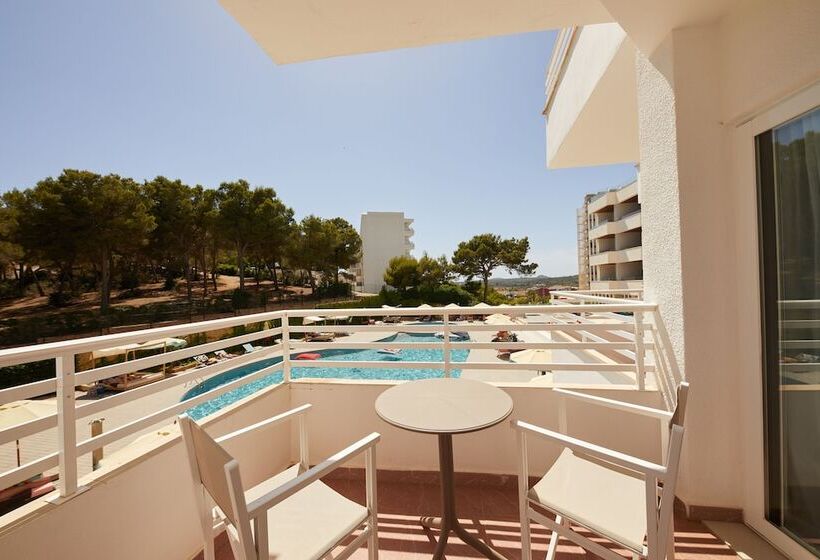 Номер Стандарт, Dreams Calvià Mallorca