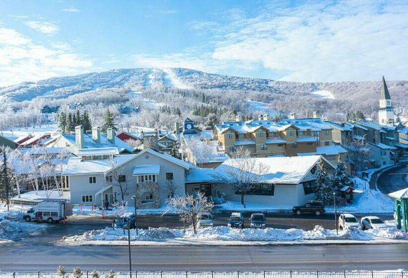 Апартаменты 1 Спальня, Long Trail House Condominiums At Stratton Mountain Resort