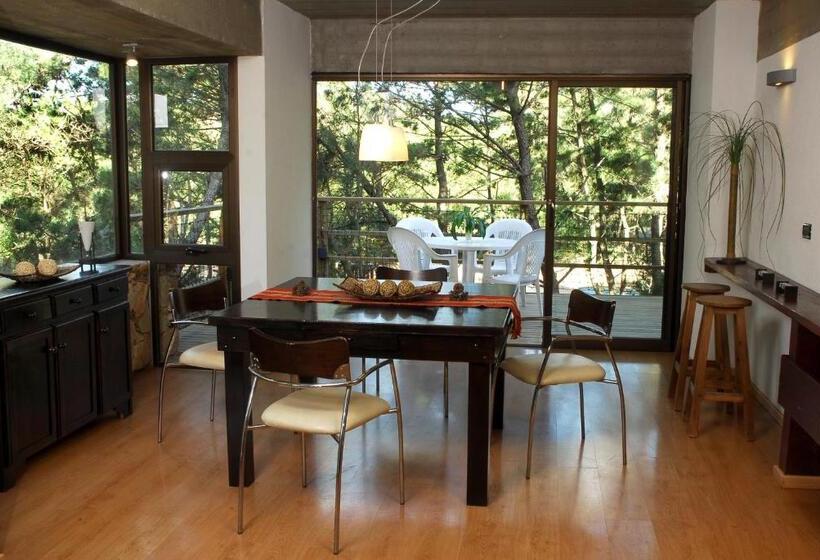 침실 1개 발코니 아파트, Village De Las Pampas Apart Hotel Boutique