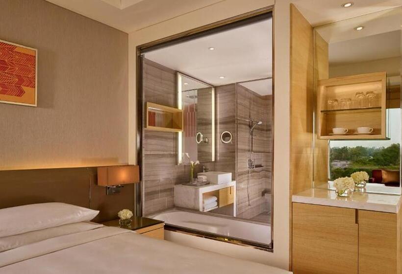 اتاق استاندارد با چشم‌انداز, Hyatt Regency Chandigarh