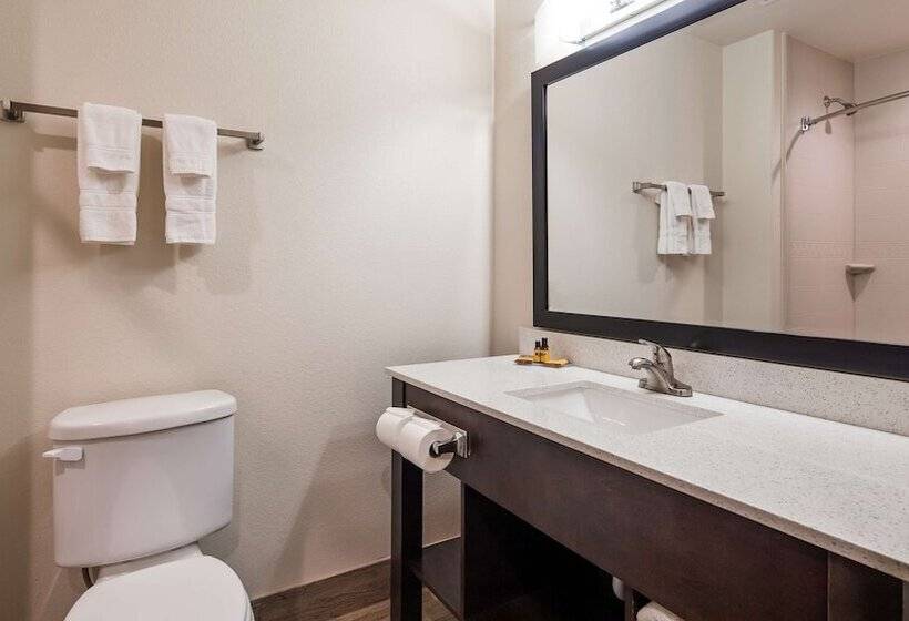 סוויטה, Best Western Plus Ardmore Inn & Suites