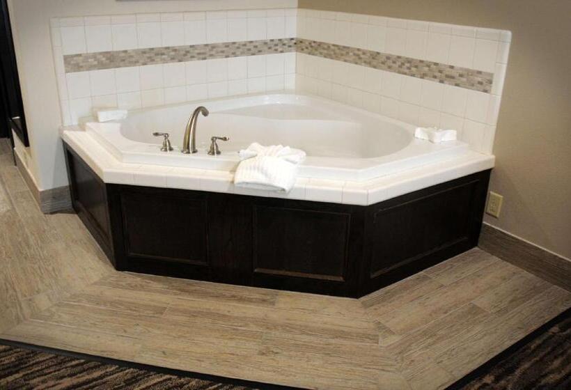 Стандартный Номер Кровать Кинг, Best Western Plus Ardmore Inn & Suites