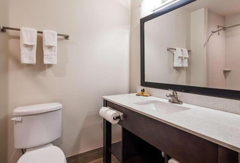 Номер Стандарт с Кухней, Best Western Plus Ardmore Inn & Suites