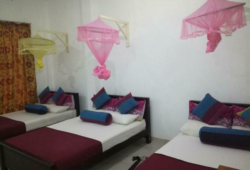 Quarto Familiar, Bevary City