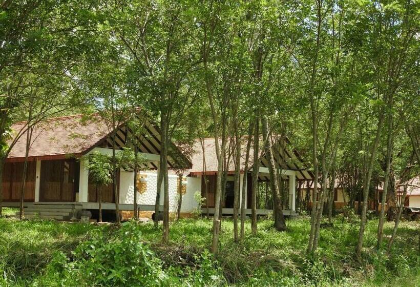 Номер Стандартный с Видом, Jetwing Kaduruketha