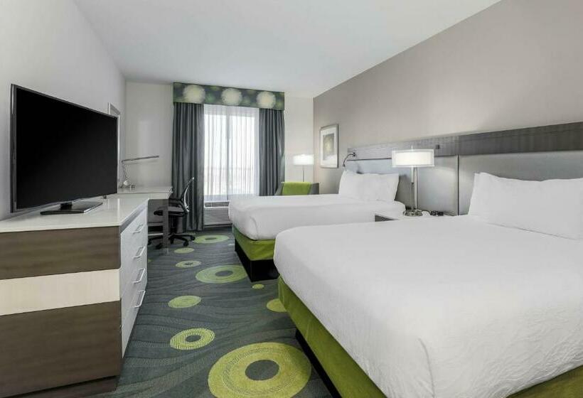 Номер Стандарт, Hilton Garden Inn Ardmore