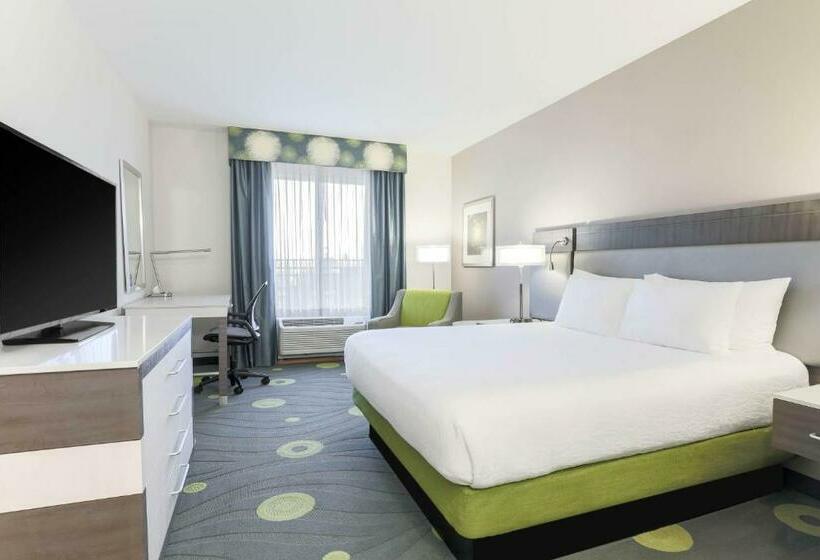 Номер Стандарт Кровать Кинг Адаптированный для Инвалидов, Hilton Garden Inn Ardmore