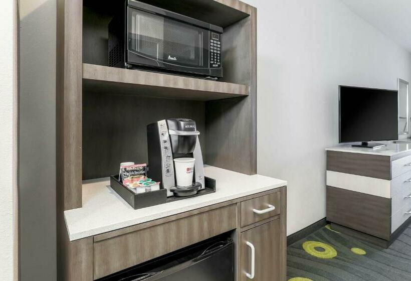 Стандартный Номер Кровать Кинг, Hilton Garden Inn Ardmore