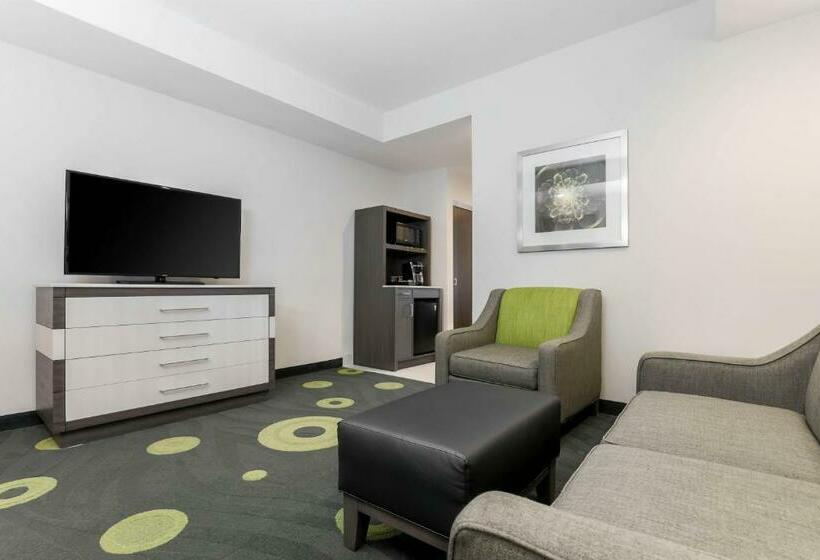 Люкс Кровать Кинг, Hilton Garden Inn Ardmore