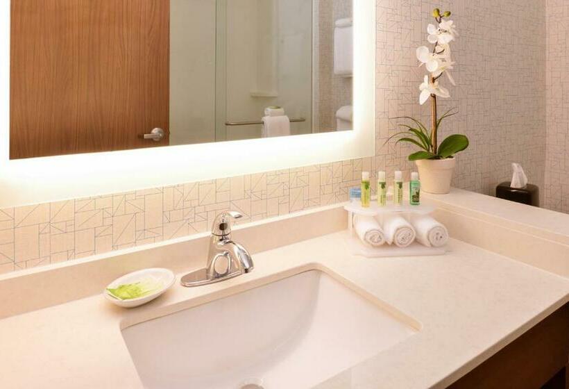带大床的标准间, Holiday Inn Express & Suites Salem, An Ihg