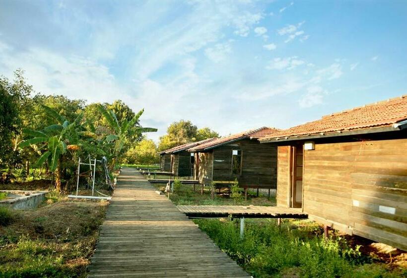 标准间, Pangarh Lake Retreat