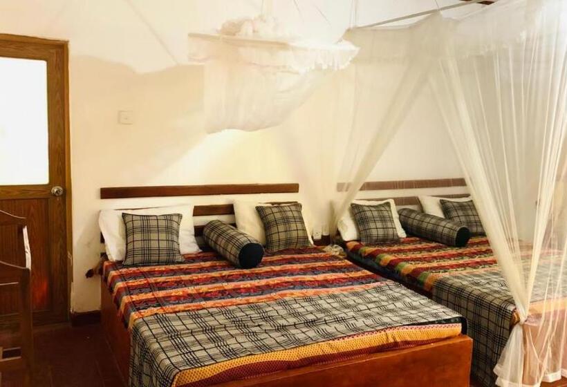 Семейный Номер Deluxe, Sisira Natural Lodge   Sigiriya
