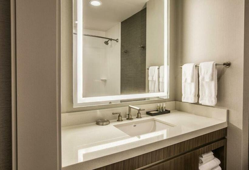 Стандартный Номер Кровать Кинг, Holiday Inn Portland West   Hillsboro, An Ihg